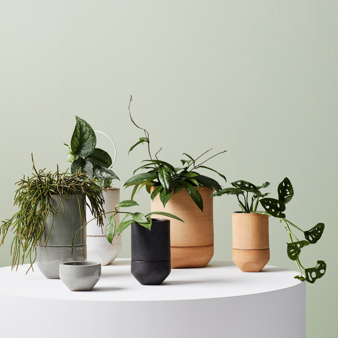 ivy plant pot size IVY MUSE PLANTER SMALL – Cisco & the Sun Home