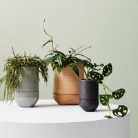 IVY MUSE PLANTER SMALL